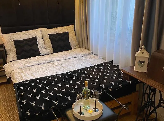 Piotrkowska2828 Apartament. شقة *